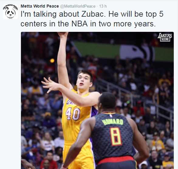 metta-zubac